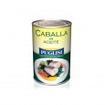 [1956] CABALLA PUGLISI ACEITE 380 gr ( u x b 24)