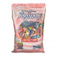 [12121] CARAMELO LHERITIER YOG.MAST. 670 gr ( u x b 10)