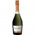 [22511] CHAMPANGNE DON DAVID EXT.BRUT 750 cc ( u x b 6)