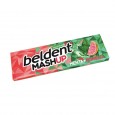 [20395] CHICLE BELDENT MENTA-POM. 20 un ( u x b 20)